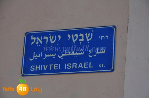 shefty yesra2el 0205 (1).JPG